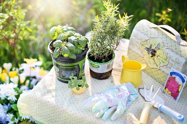 3 conseils pour bien acheter les outils de jardinage