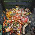 compost