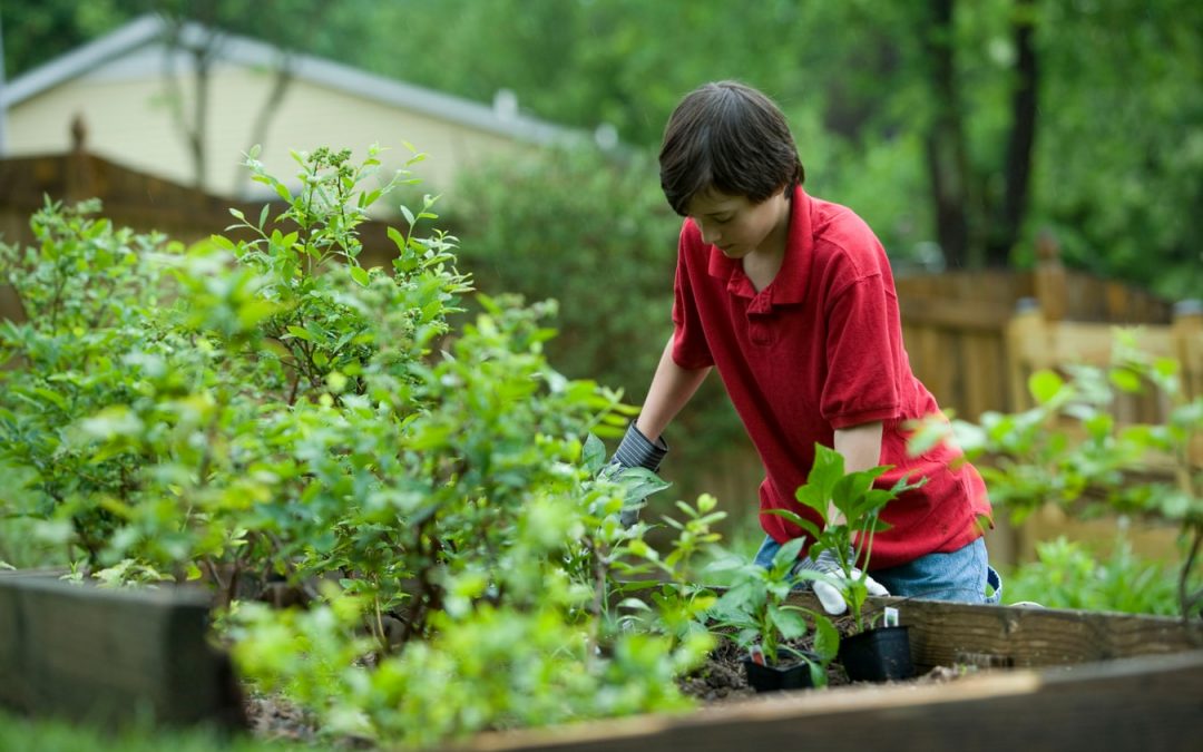 Un professionnel du jardinage saura répondre au besoin d’entretien